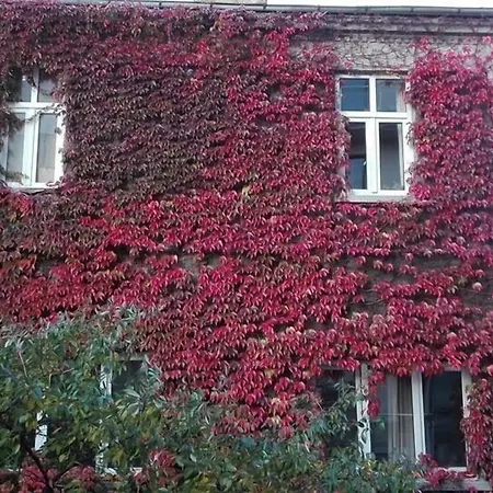 Hotel Favorit Sofie