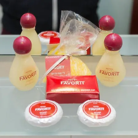 Favorit Hotel 3*