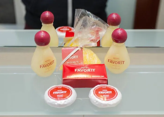 Favorit Отель 3*